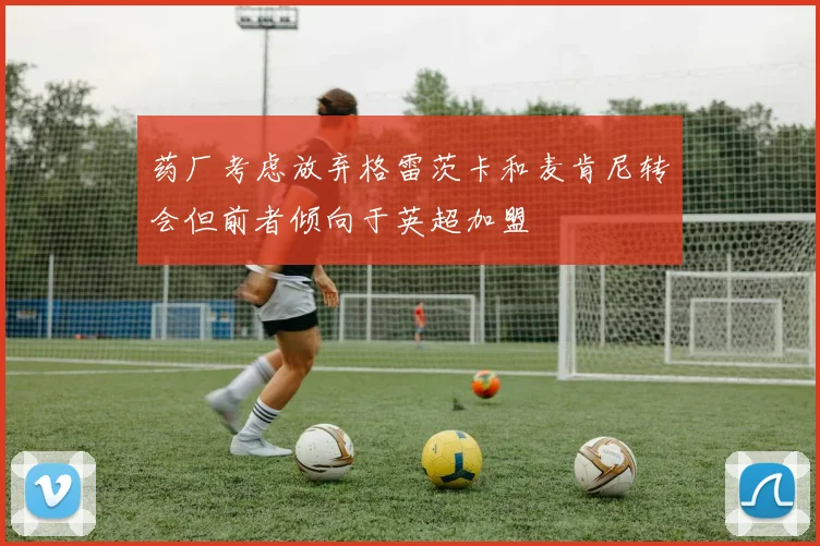 药厂考虑放弃格雷茨卡和麦肯尼转会但前者倾向于英超加盟