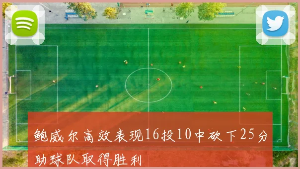 鲍威尔高效表现16投10中砍下25分助球队取得胜利