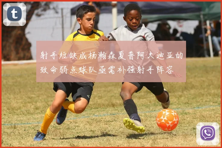 射手短缺成杨瀚森夏普阿夫迪亚的致命弱点球队亟需补强射手阵容