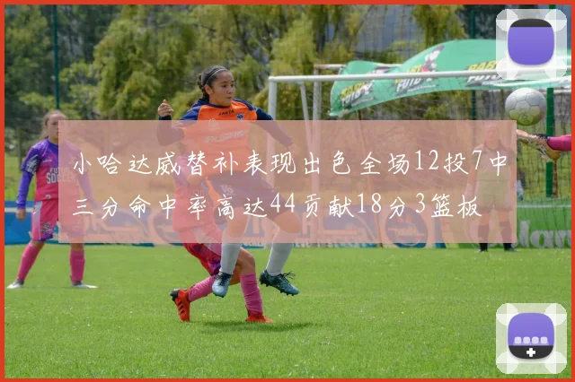 小哈达威替补表现出色全场12投7中三分命中率高达44贡献18分3篮板