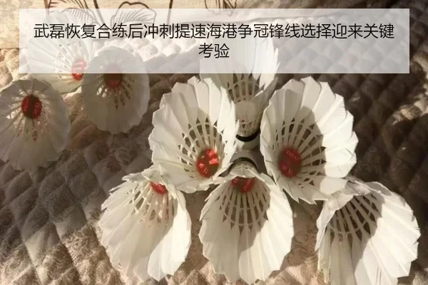 武磊恢复合练后冲刺提速海港争冠锋线选择迎来关键考验（CSLBuyBalls）