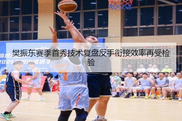 樊振东赛季首秀技术复盘反手衔接效率再受检验（CSLBuyBalls）